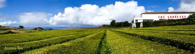Химические вещества из кишечных бактерий поддерживают жизнеспособность стареющих животных: индолы помогают червям/мухам/мышам жить дольше
