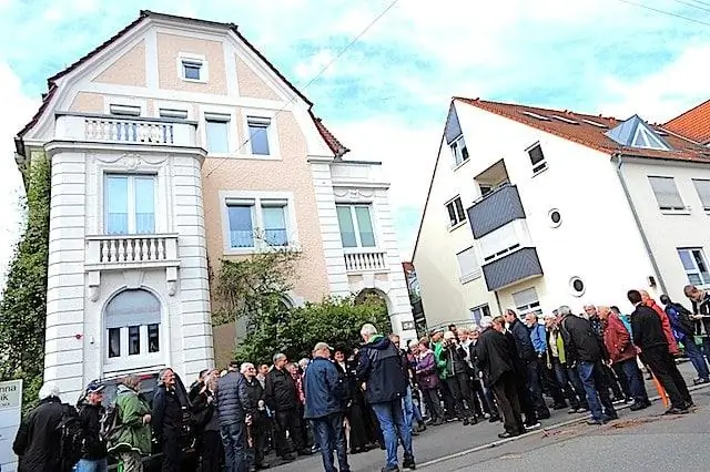 Пальцы рассказывают историю: Новый свет проливает свет на эволюционные силы, которые заставили лошадей развить один палец