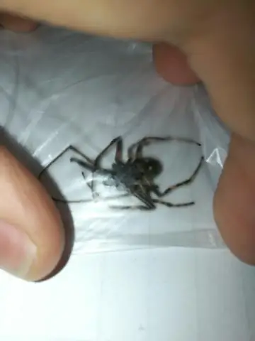 Прядение растительных отходов в углеродное волокно для автомобилей, самолетов