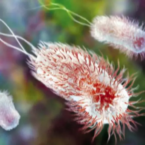 Более 99 процентов микробов внутри нас неизвестны науке