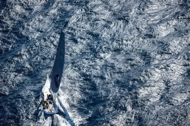 Дельфин, который давным-давно существовал на побережье Южной Каролины