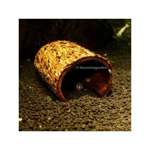 Бактериальная инфекция быстро обнаружена в выдыхаемом воздухе