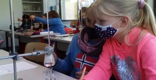 Выяснение биологии огромных вымерших пещерных медведей