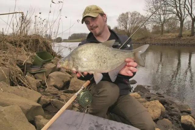 Огромная роль почвенных микробов