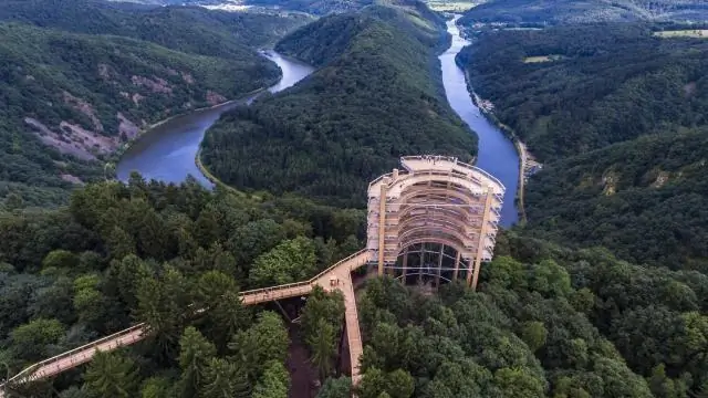 Новый вид крабов с необычными выростами получил свое название, записанное в звездах