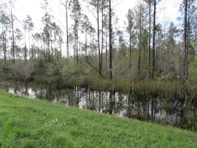 Багамские певчие птицы исчезли во время последнего ледниково-межледникового перехода: потепление 12 000 лет подчеркивает влияние изменения климата на экосистемы