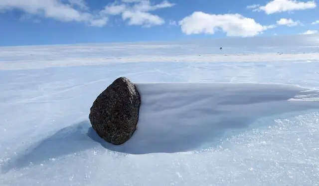 Новая оценка биоразнообразия на Земле