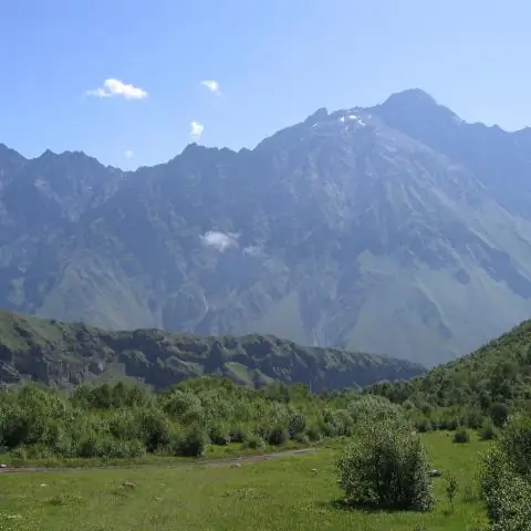 Выявление факторов, влияющих на морскую жизнь: «Биогеография островов» помогает описать удивительные способы, которыми морские организмы заполняют ниши и диверсифицируются