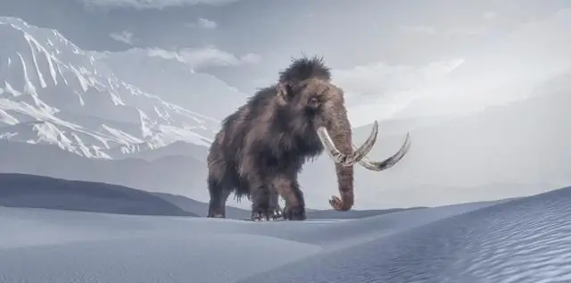 Поселение людей в Америке могло произойти в позднем плейстоцене: исследователи датировали останки скелета и сталагмит, найденный в пещере Тулум