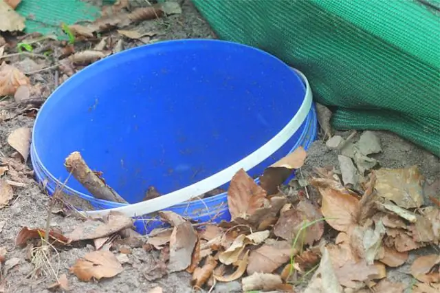 Опасения по поводу радиоактивности мигрирующих морепродуктов опровергнуты: предлагается использовать загрязняющие вещества в качестве экологических индикаторов после стихийных бедствий