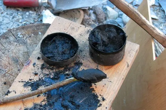 Как неандертальцы сделали самый первый клей