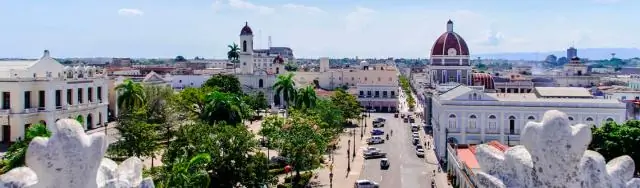 Жемчужина природы в городе: что растет в богатом биоразнообразием лесном заповеднике Букит Нанас