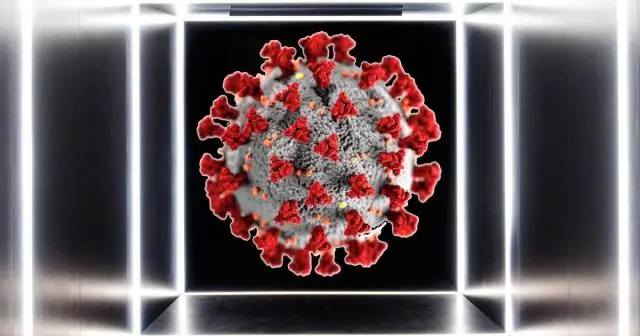 Вирус захватывает транспортную систему клетки