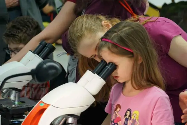 Дождевые черви в корне упадка сахарного клена