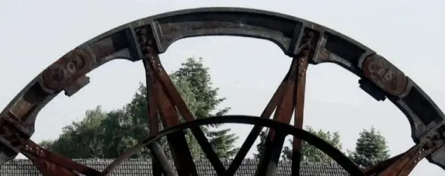 Нюхательный тест на самопознание подтвержден: собаки обладают самосознанием: альтернативный подход к «зеркальному тесту» подтверждает гипотезу о самопознании у собак