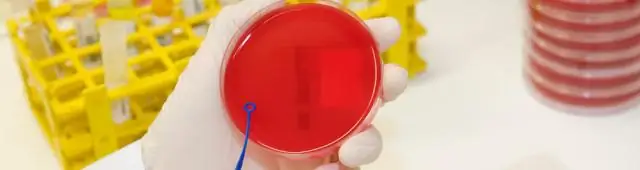 Новое понимание бактериальных токсинов