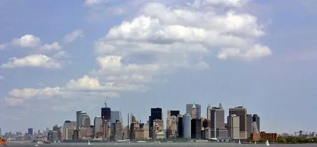 Облакообразование подавлено выбросами биогенной органики