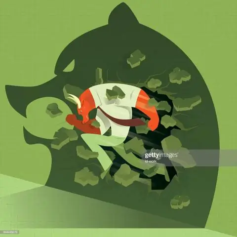 Прорыв сквозь стену в исследованиях бактериальных мембранных везикул