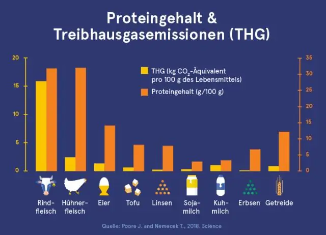 Белки удерживают клетки