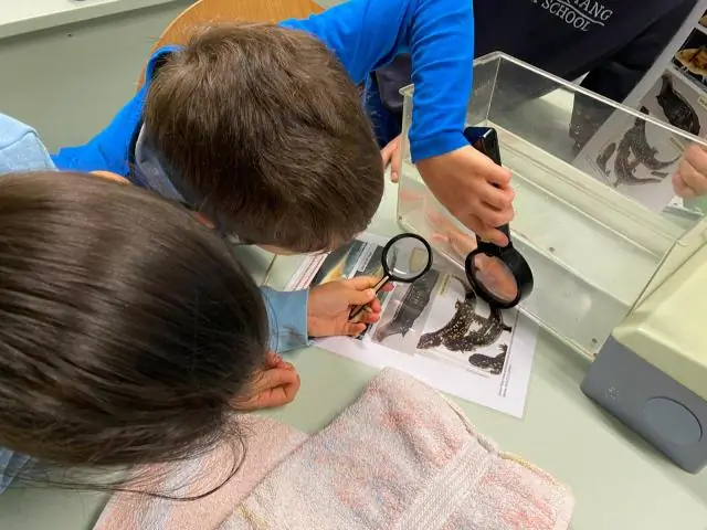 Обнаружены прямые доказательства «отпечатков пальцев» уровня моря: в тропических океанах обнаружены индикаторы глобального изменения климата