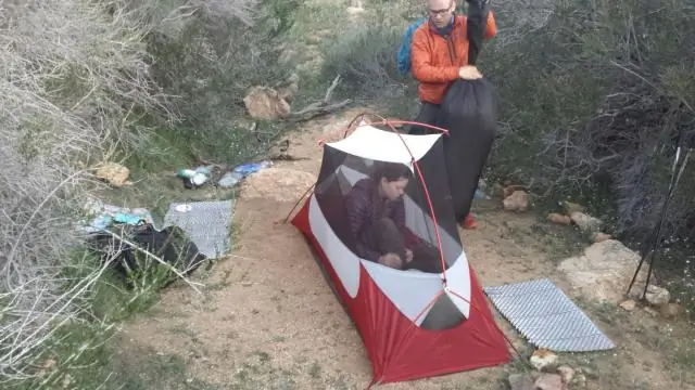 Ленивые муравьи неожиданно приносят пользу