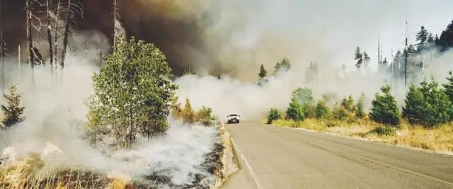 США угрожают учащающиеся наводнения: исследователи показывают, что восточное побережье США медленно погружается в море