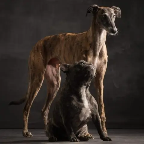 Облака как соты: команда использует инновационный сетевой подход для объяснения полигональных узоров в облаках