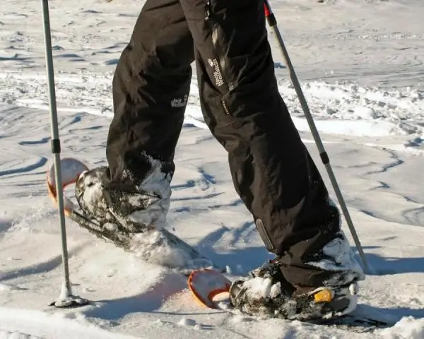 Повышение уровня CO2, ведущее к изменениям в фотосинтезе наземных растений: предполагает, что растения достигли оптимальной реакции на повышение уровня CO2 в атмосфере