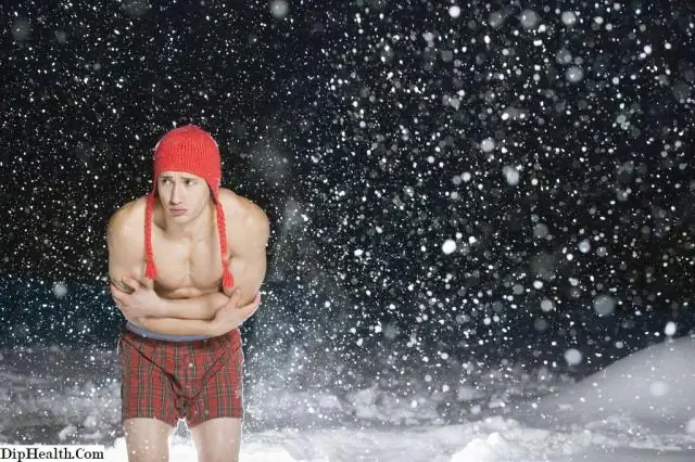 У мышей ограничение калорий уменьшает жир, но увеличивает шерсть