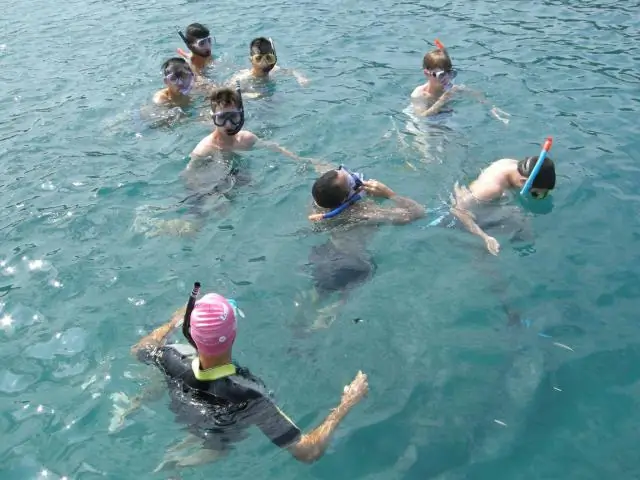 Микроскоп, изобретенный в морской биологической лаборатории, освещает хромосомную «темную материю»