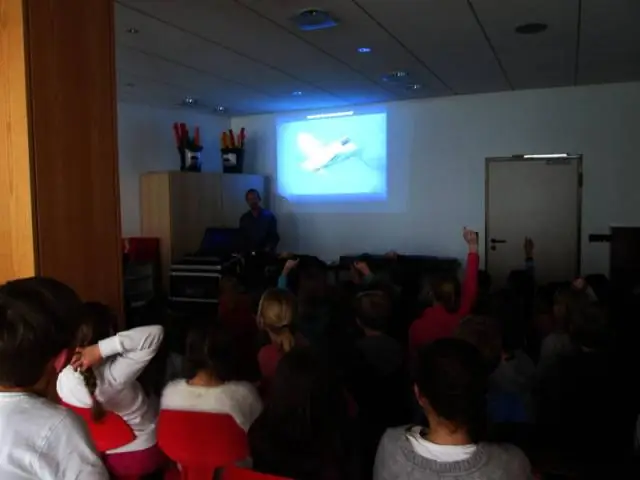 Разведение рыбы: морские биологи определяют модели движения рыбы-попугая, которая поочередно собирает свои любимые водоросли, защищая свою кормовую территорию