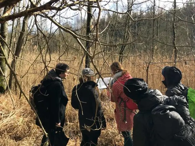 Десятилетие данных показывает, что карты наводнений FEMA пропустили 3 из 4 заявлений: исследование Rice, Texas A&M-Galveston было сосредоточено на картах за 100 лет для некоторых пригородов Хьюсто