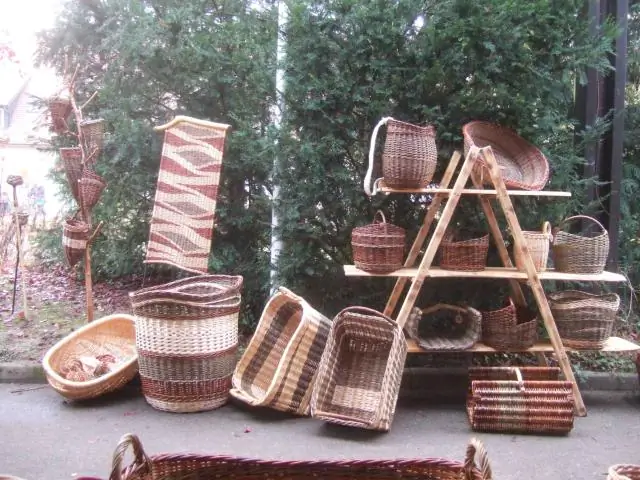 Находящаяся под угрозой исчезновения алабамская улитка переименована после случая ошибочной идентификации