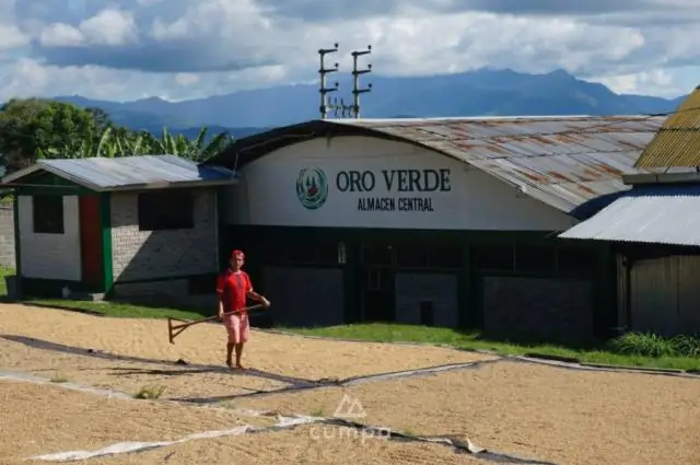 Как клетка сохраняет свою идентичность во время репликации? Давние взгляды на клеточное деление перевернуты