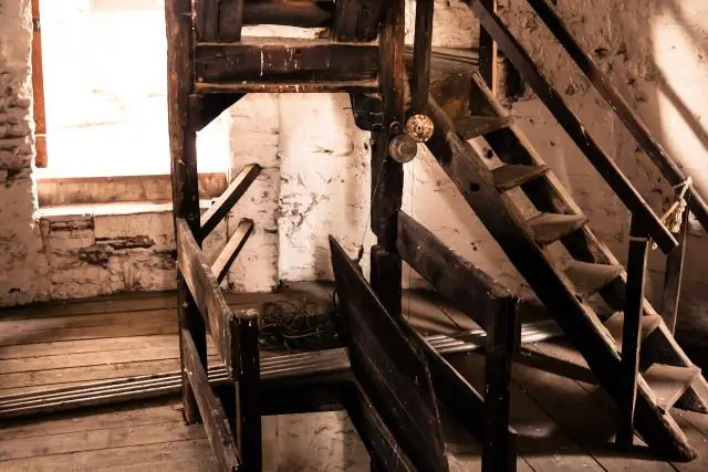 Свет в конце туннеля: восстановленный лес теперь приютил десятки исчезающих видов