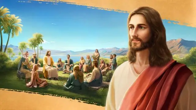 Секреты бонсай: раскрытие механизма регенерации корней