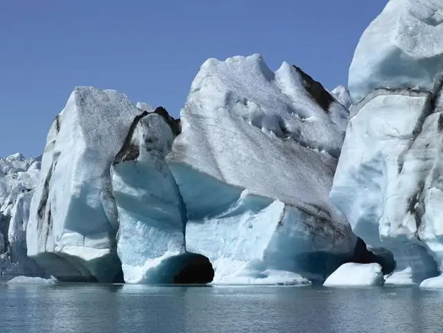 Подтверждено сокращение численности южных китов в Северной Атлантике: осталось 458: исследование подтверждает необходимость срочных действий