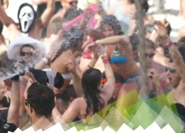 Попугаи-монахи вторгаются в Мексику