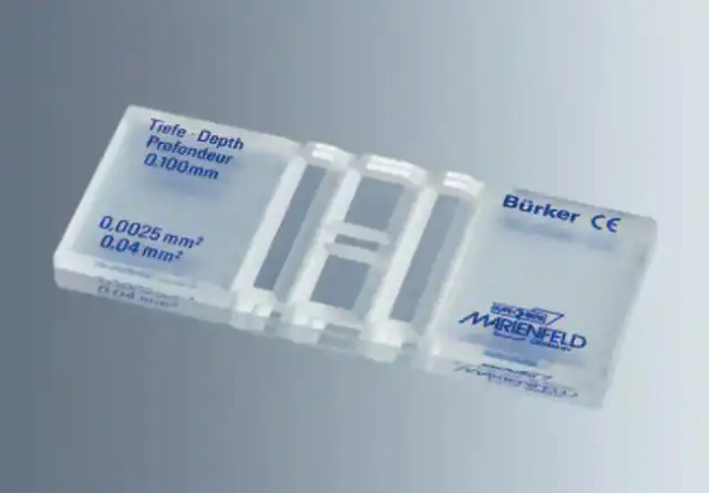 Игра в кости для определения размера клеток эпидермиса листьев растений