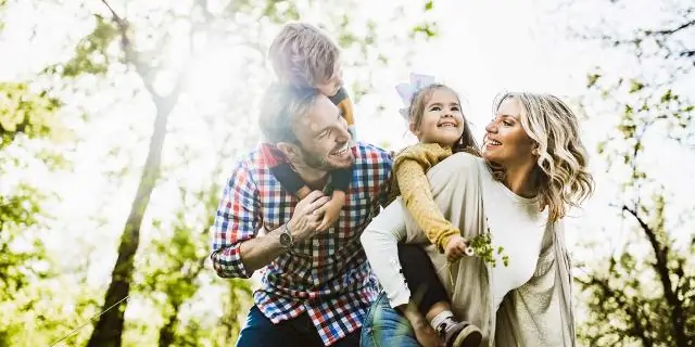 Изобилие видов: зима ограничивает инновации: новая модель биоразнообразия тропических растений основана на «эффекте накопления»