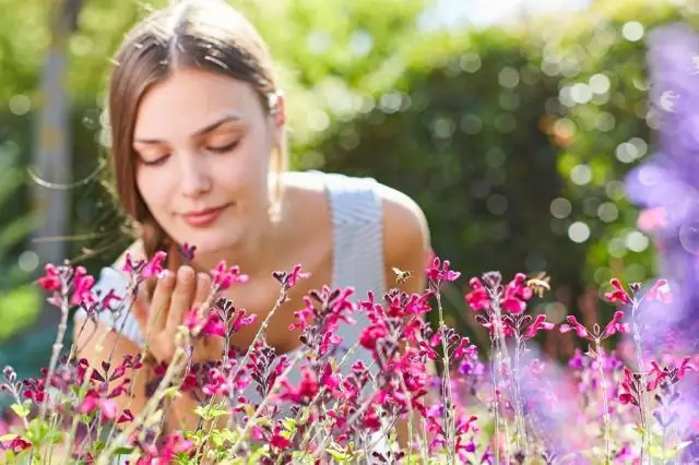 Растения сочетают цвет и аромат, чтобы обеспечить опылителей