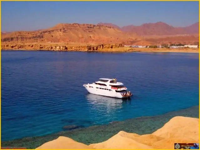 Собираетесь заняться дайвингом в тропиках? Не ешьте рифовую рыбу