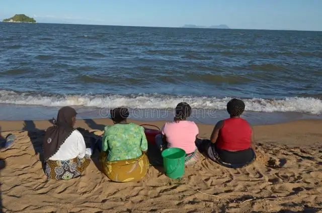 Ученые и фермеры работают вместе, чтобы уничтожить африканскую траву любви