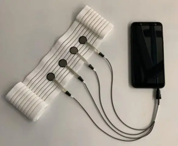 Смена караула: исследование проливает свет на то, как дышат растения: исследование механизма защитных клеток ведет к прорыву