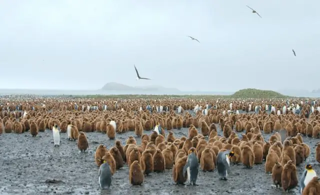 Мы должны ускорить переход к устойчивому развитию и изменению климата, говорят эксперты: необходимы быстрые изменения в электроэнергетике, тепле, зданиях, промышленности и мобильности