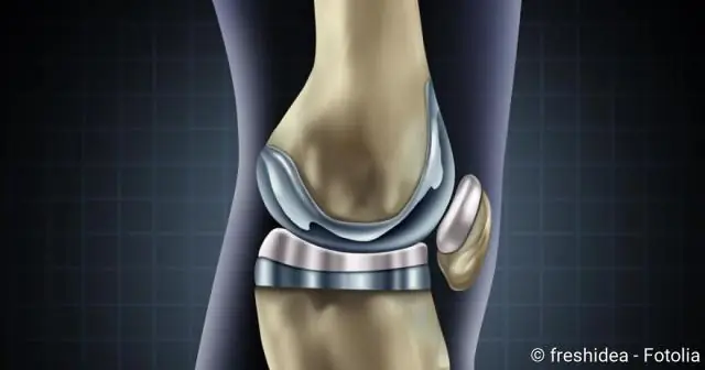 Набор для выращивания искусственных орхидей: новый набор для выращивания позволяет дешево и легко выращивать орхидеи из семян в домашних условиях