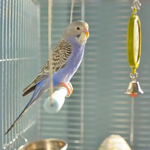 Открытие новой группы губок может помочь измерить воздействие глубоководной добычи полезных ископаемых