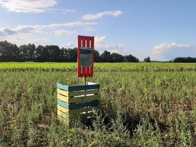 Большой мозг у птиц дает преимущество в выживании