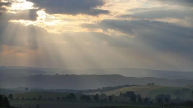 Теплые северо-западные воды влекут нерестящихся рыб на север: сардина, анчоусы и хек нерестятся раньше и дольше у тихоокеанского северо-запада
