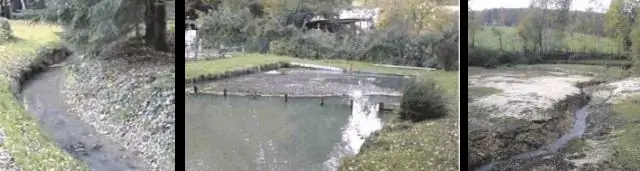 Устойчивость рыболовства связана с гендерными ролями среди торговцев